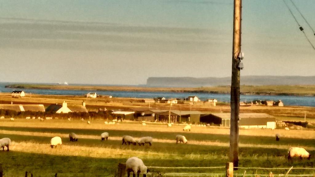 Hamnavoe B&B John o' Groats Exteriör bild